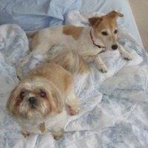 Meet your Posher, Winnie